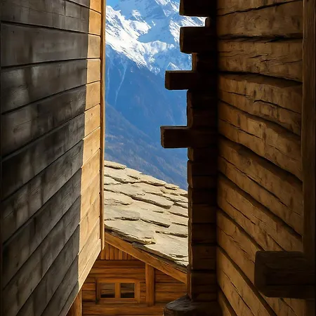 Chalet Les Mayens D'adrien *