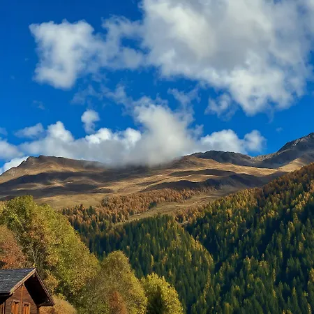 Chalet Les Mayens D'adrien *