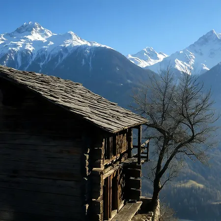 Les Mayens D'adrien *