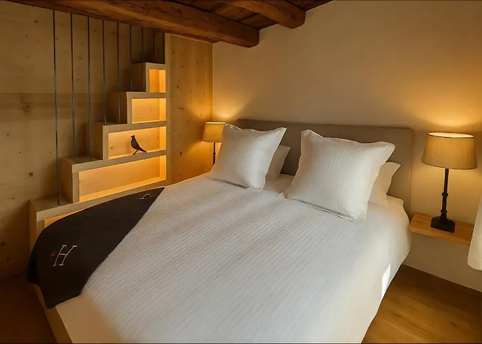 Les Mayens D'adrien Mase